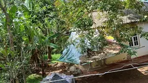 Land for Sale in Govikam Pedesa Road Raththanapitiya