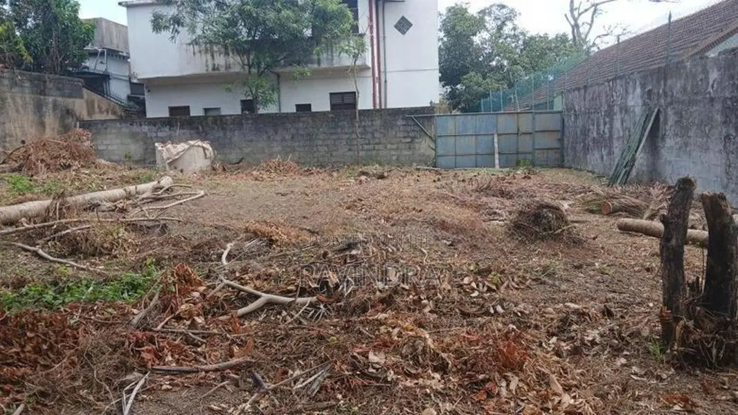 Land for Sale in Campese Road Raththanapitiya