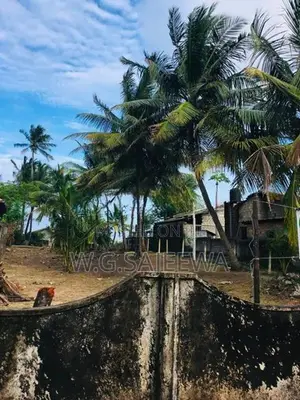 29 Perch Main Road Facing Land for Sale in Saththappaduwa Negombo