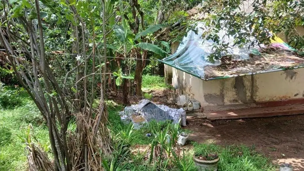 Land for Sale in Govikam Pedesa Road Raththanapitiya