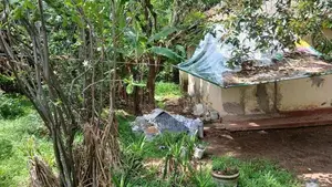 Land for Sale in Govikam Pedesa Road Raththanapitiya