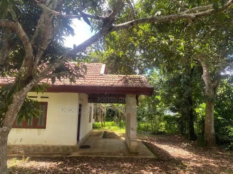 Room for Rent - Mount Lavinia (Girls)
