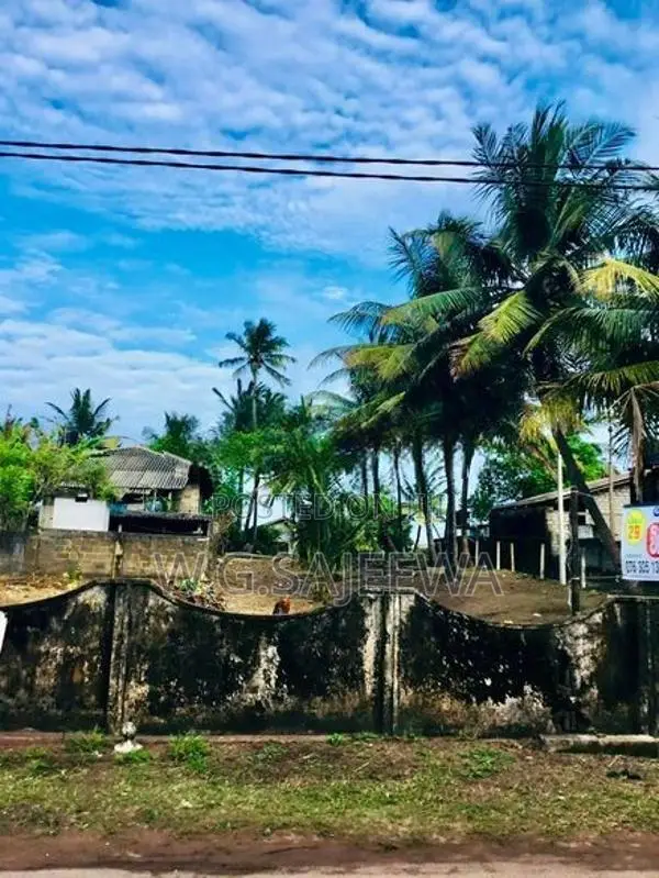 29 Perch Main Road Facing Land for Sale in Saththappaduwa Negombo