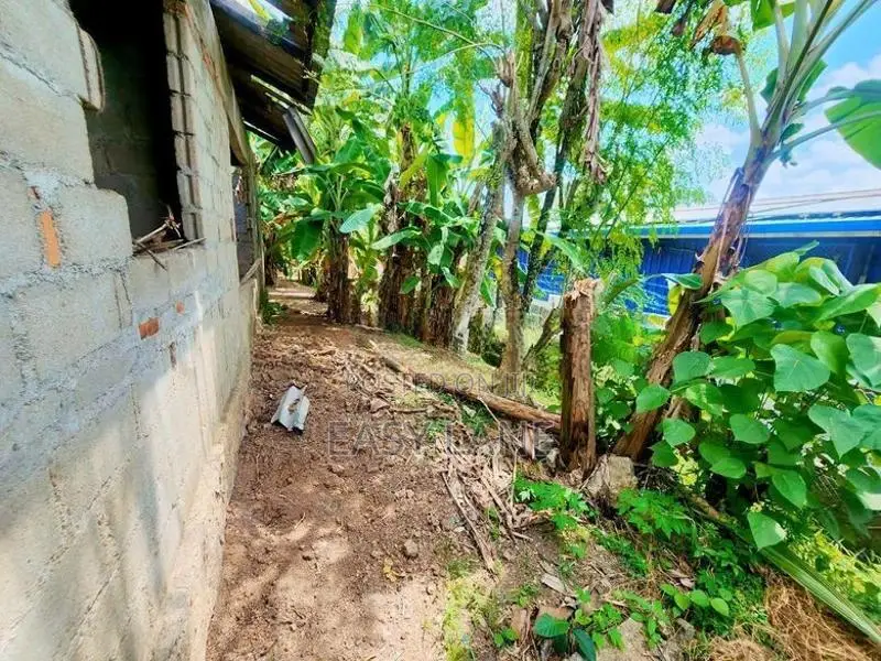 නිට්ටඹුව මල්වත්තෙන් මුළු ඉඩම විකිණීමට / YS 15231