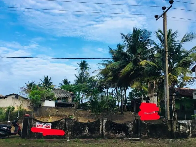 29 Perch Main Road Facing Land for Sale in Saththappaduwa Negombo
