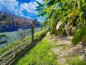 නිට්ටඹුව මල්වත්තෙන් මුළු ඉඩම විකිණීමට / YS 15231