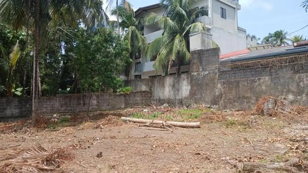 Land for Sale in Campese Road Raththanapitiya