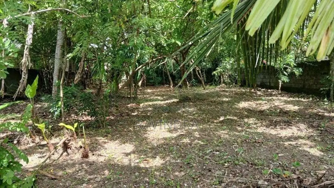 Land for Sale in Neelammahara Road Kohlakotuwa Maharagama