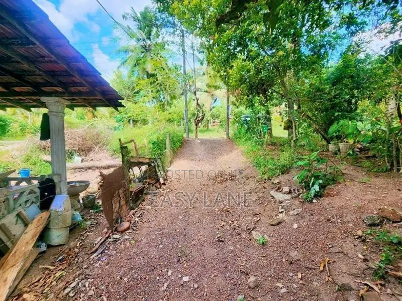 නිට්ටඹුව මල්වත්තෙන් මුළු ඉඩම විකිණීමට / YS 15231