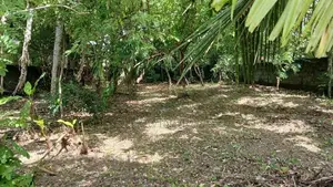 Land for Sale in Neelammahara Road Kohlakotuwa Maharagama