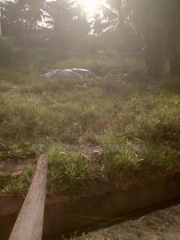Land for Sale Hibutana