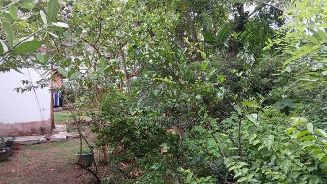 Land for Sale in Neelammahara Road Godigamuwa Maharagama