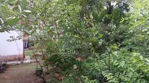Land for Sale in Neelammahara Road Godigamuwa Maharagama