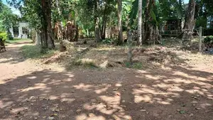 Land for Sale in Galakubura Road Neelammahara Katuwawala Boralesgamuwa