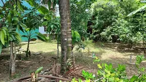 Land for Sale in Neelammahara Road Godigamuwa Maharagama
