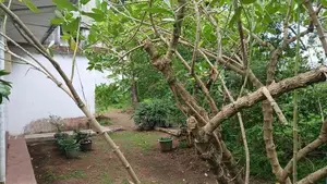 Land for Sale in Neelammahara Road Godigamuwa Maharagama