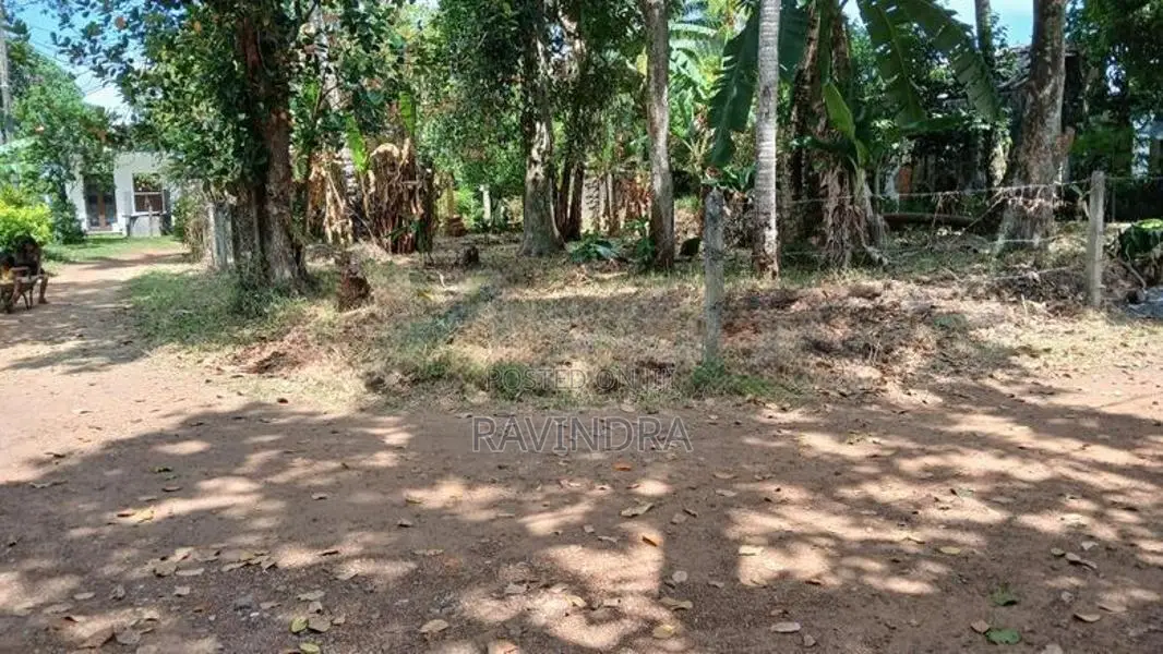 Land for Sale in Galakubura Road Neelammahara Katuwawala Boralesgamuwa