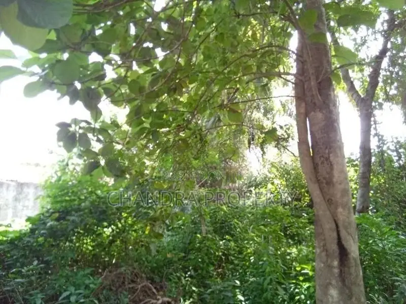 Prime Land for Sale – Kandana