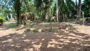 Land for Sale in Galakubura Road Neelammahara Katuwawala Boralesgamuwa