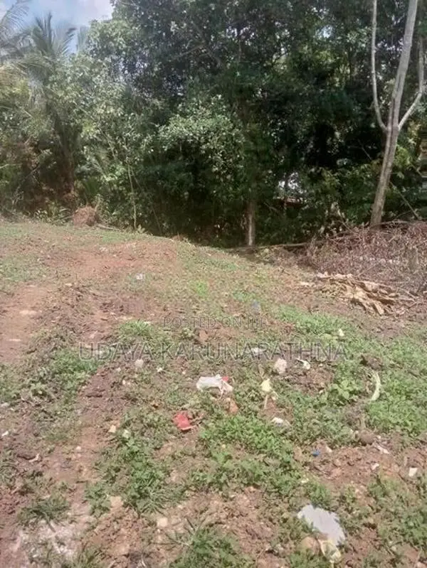Land for Sale Hibutana