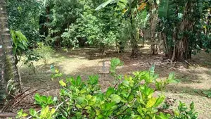 Land for Sale in Neelammahara Road Godigamuwa Maharagama