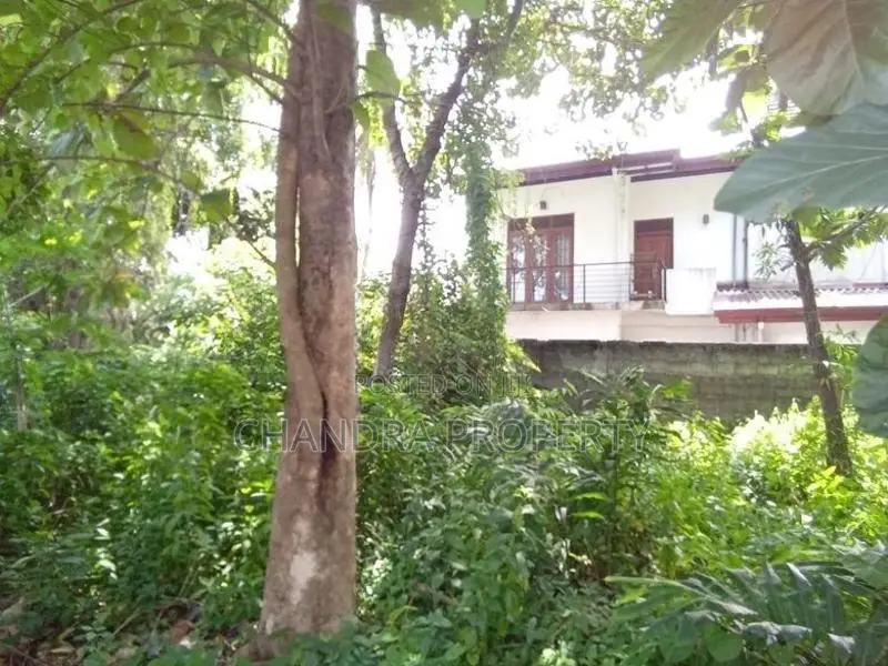 Prime Land for Sale – Kandana