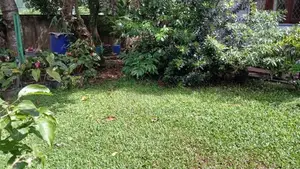Land for Sale in Neelammahara Road Godigamuwa Maharagama