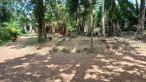 Land for Sale in Galakubura Road Neelammahara Katuwawala Boralesgamuwa