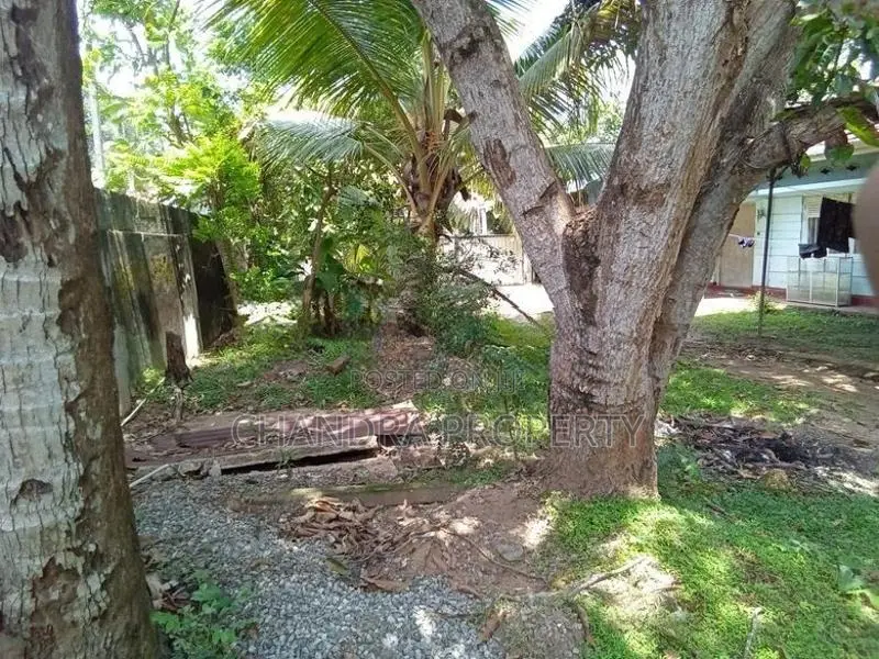 Land with 2 Houses for Sale – Kandana