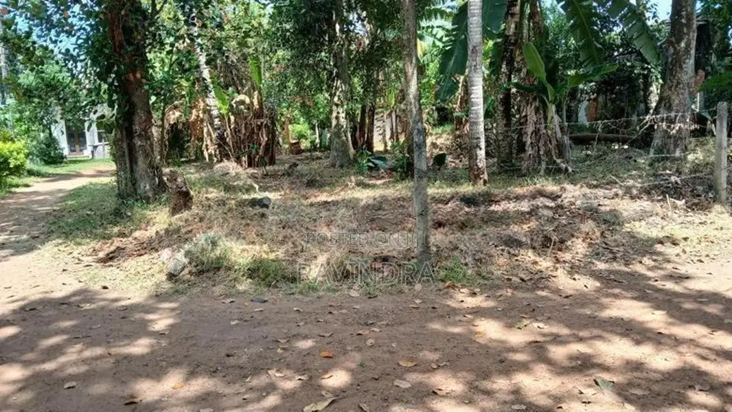 Land for Sale in Galakubura Road Neelammahara Katuwawala Boralesgamuwa