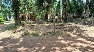 Land for Sale in Galakubura Road Neelammahara Katuwawala Boralesgamuwa