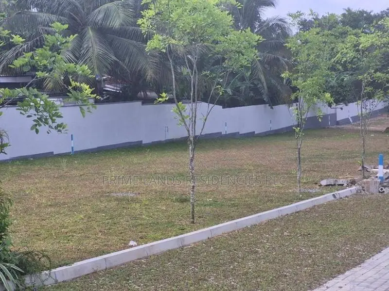 Valuable Land for Sale in Boralesgamuwa