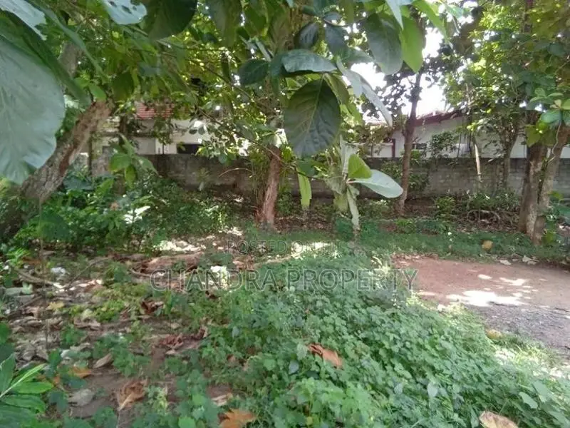 Prime Land for Sale – Kandana