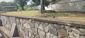 Kottawa , 336 Bus Road Facing Commercial Land for Sale