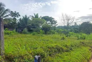 8 P Residential Land for Sale in Pliyandala Kahathuduwa