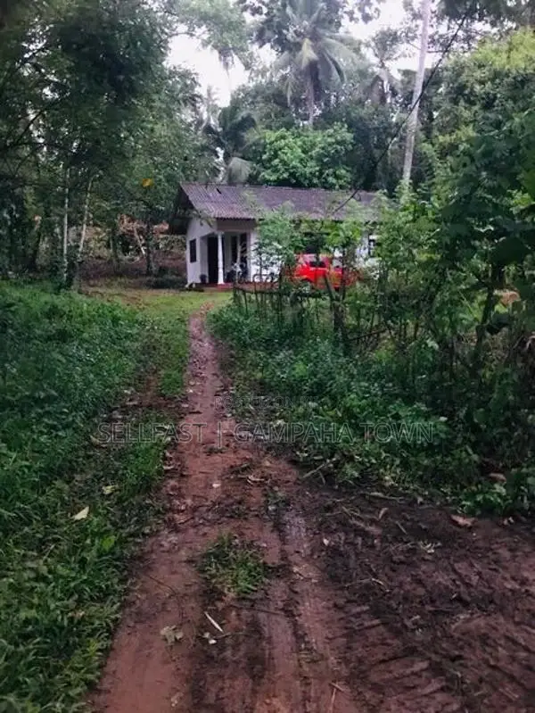House for Sale - Dompe