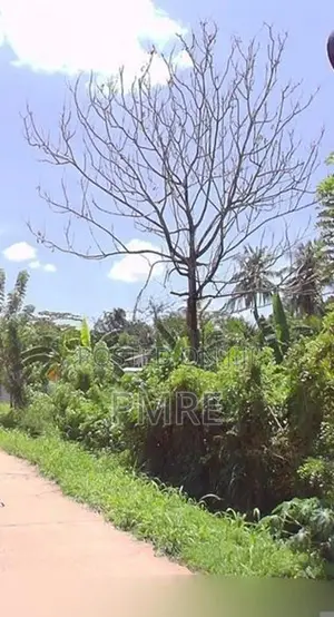 Commercial Land for Sale in Thalawathugoda