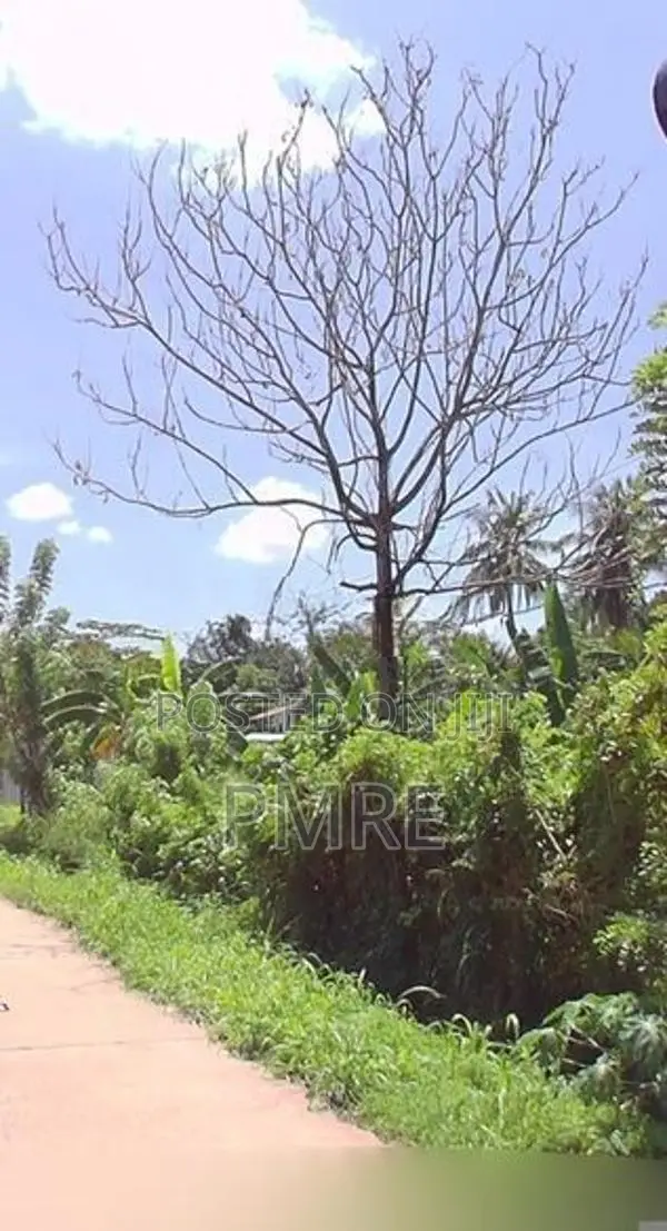 Commercial Land for Sale in Thalawathugoda