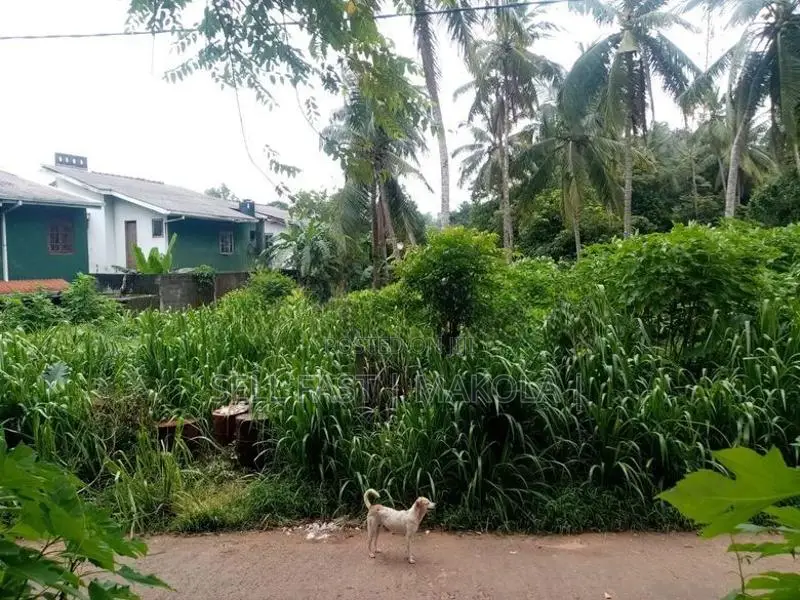 Land For Sale In Biyagama