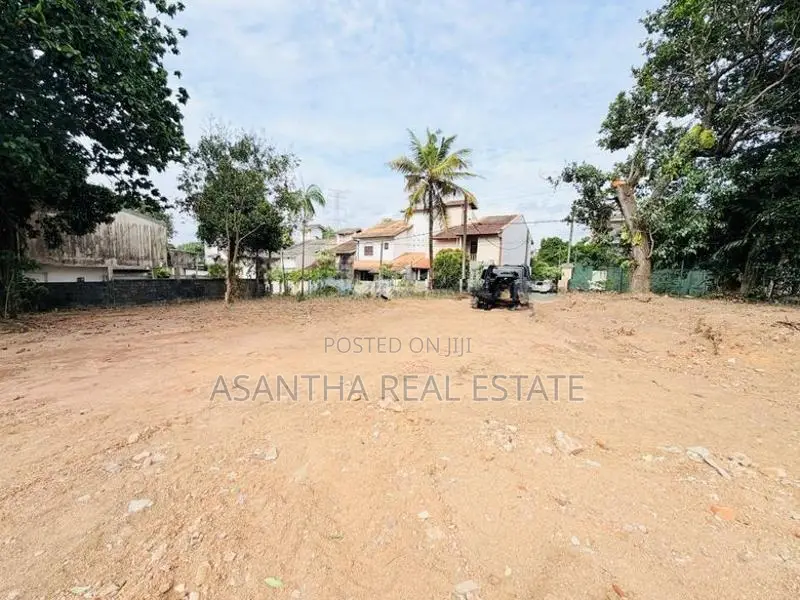 (AFA393) 19 P Bare Land Sale At Temple Road Thalawathugoda