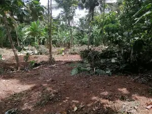 Bare Land for Sale - Ranjanagama, Kurunegala