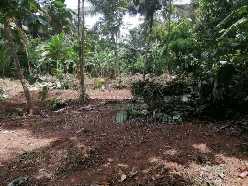 Bare Land for Sale - Ranjanagama, Kurunegala