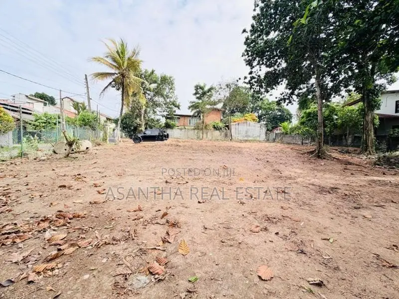 (AFA393) 19 P Bare Land Sale At Temple Road Thalawathugoda
