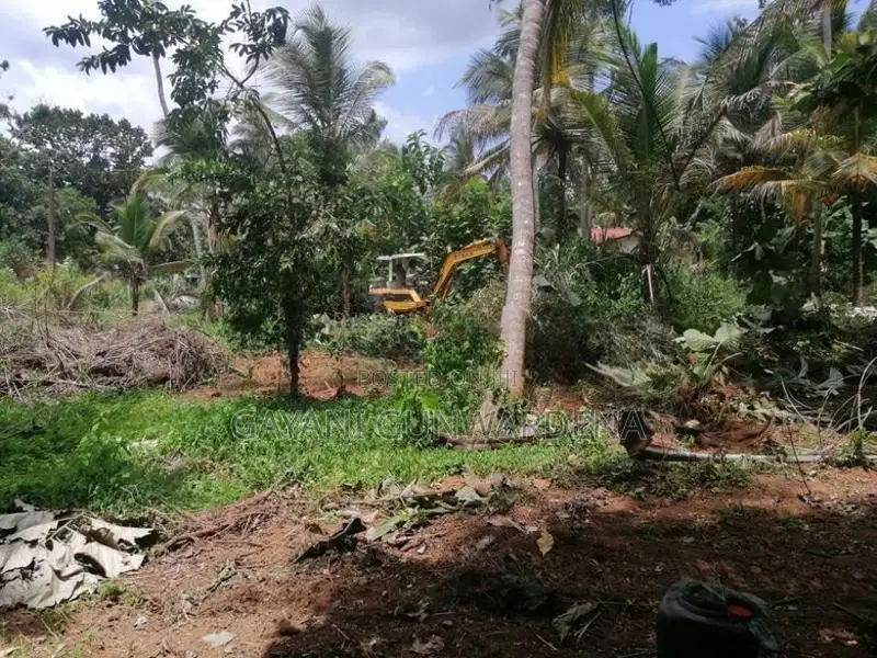 Bare Land for Sale - Ranjanagama, Kurunegala