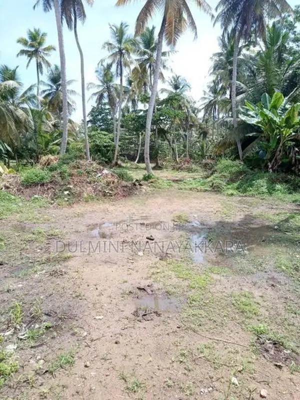Land for Sale in Balapitiya
