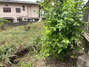 Land for Sale in Mulleriyawa