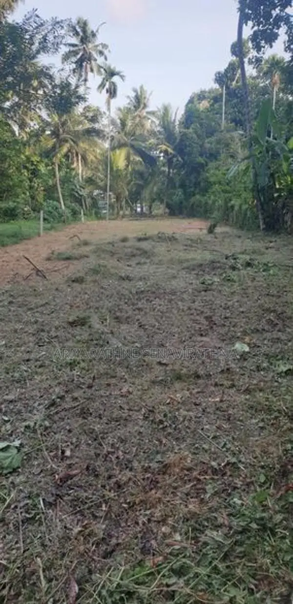 Land for Sale Seeduwa