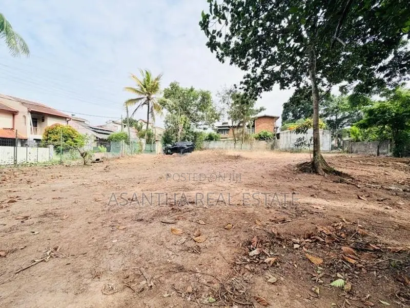 (AFA393) 19 P Bare Land Sale At Temple Road Thalawathugoda