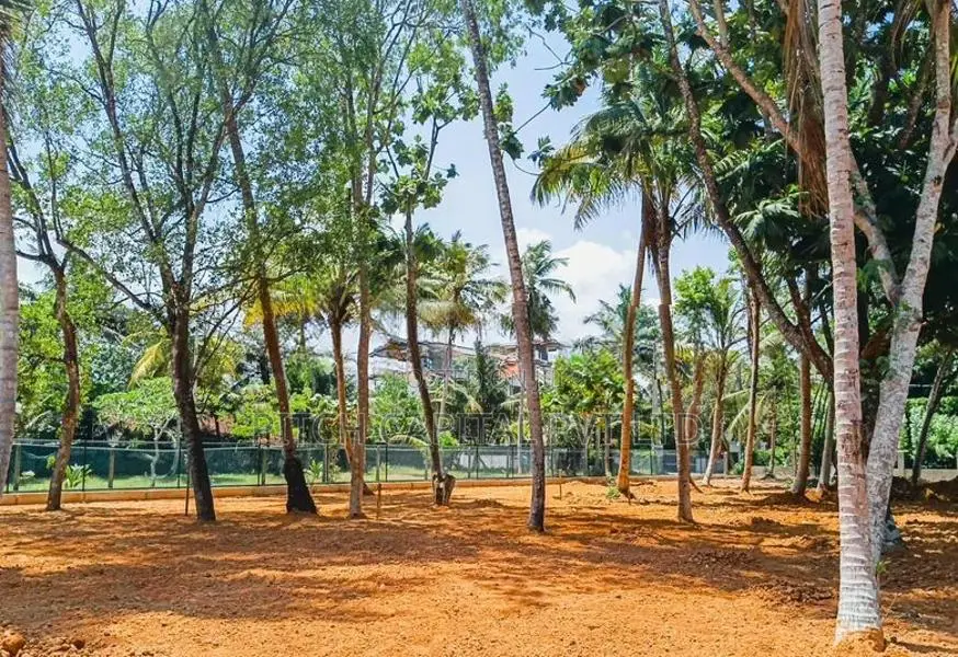 Land for Sale in Midigama Coastal Area