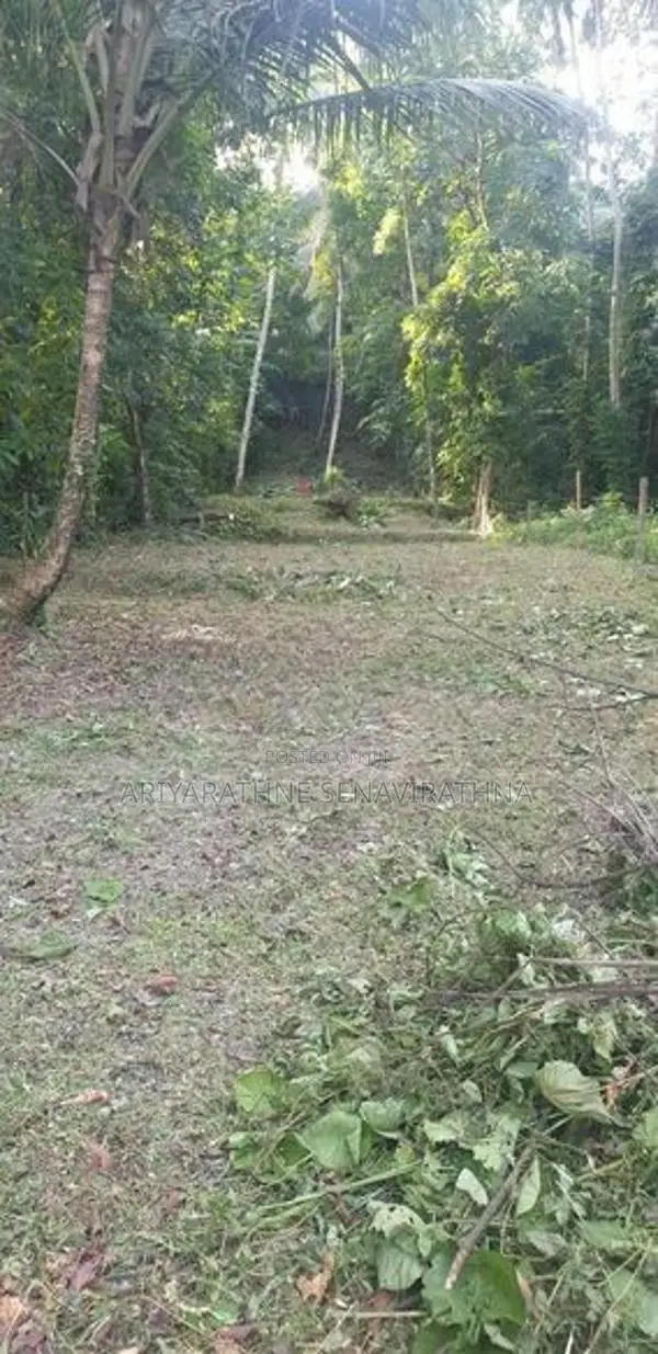 Land for Sale Seeduwa